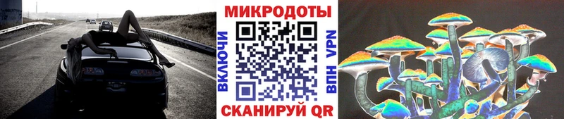 продажа наркотиков  Биробиджан  блэк спрут вход  сайты даркнета как зайти  Галлюциногенные грибы Magic Shrooms 