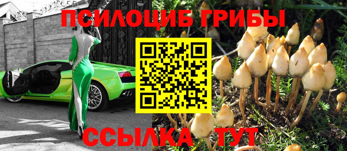 Псилоцибиновые грибы Magic Shrooms Биробиджан